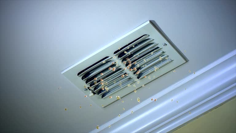 Best Air Duct Sanitizing Services  in Browns Mills, NJ